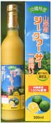 RYV[N[T[100500ml